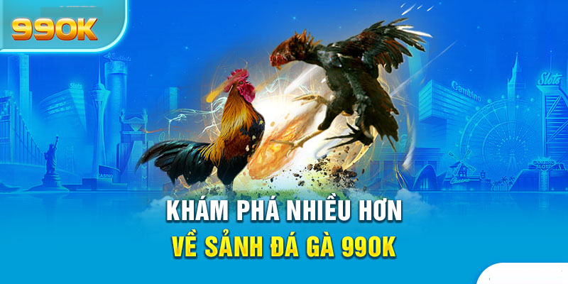 Sảnh Đá Gà 99ok Sự Kết Hợp Hoàn Hảo